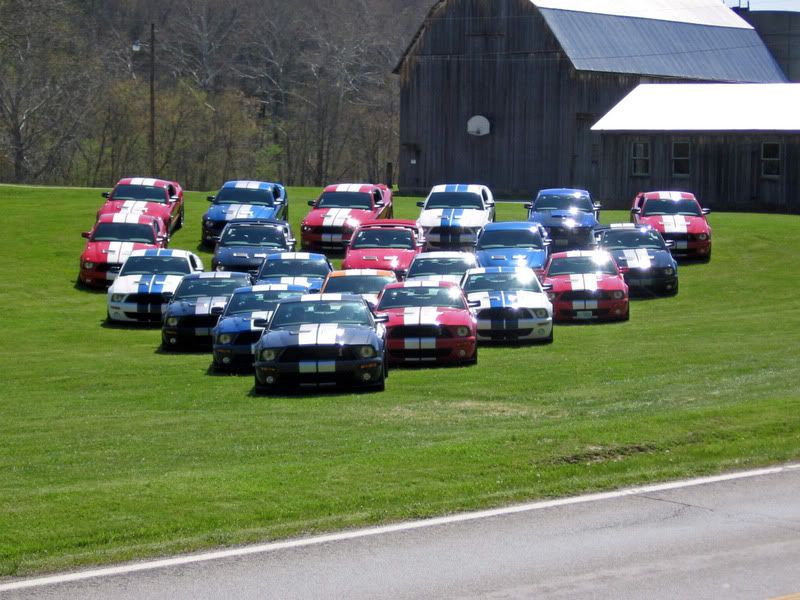 Pictures from Shelby Fest In Hermann MO Ford Mustang Forum